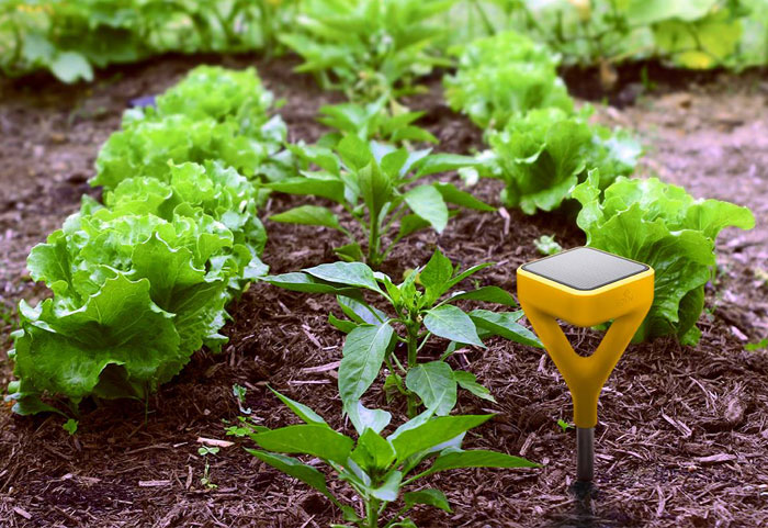 edyn-garden-sensor-food-tech